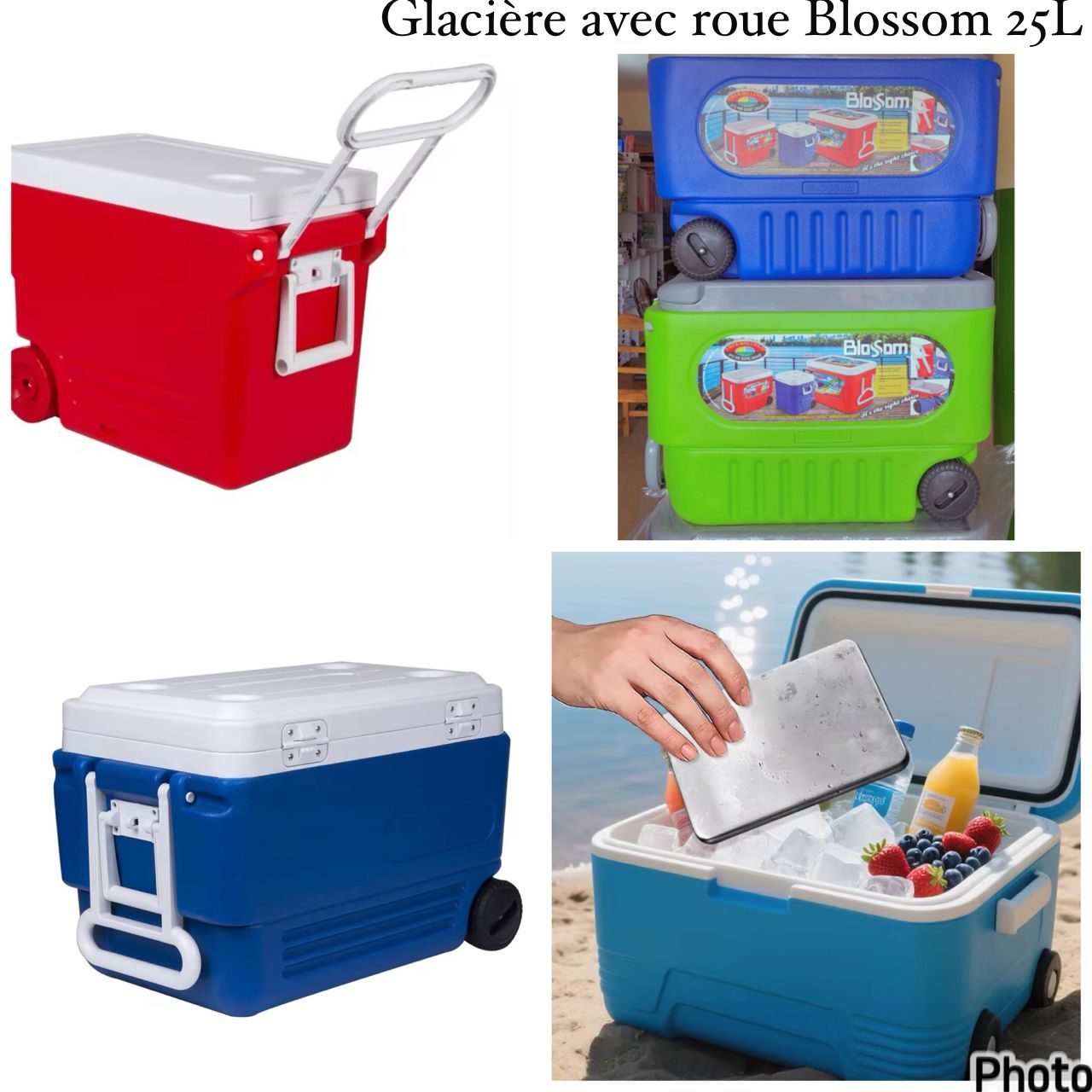Glacière avec roue Blossom 25L