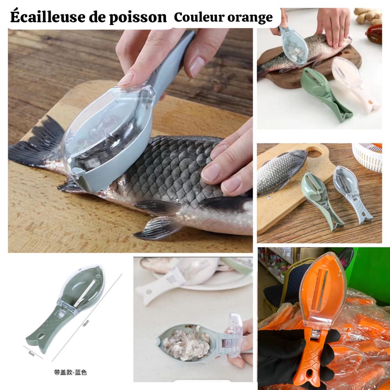 Ecailleuse de poisson
