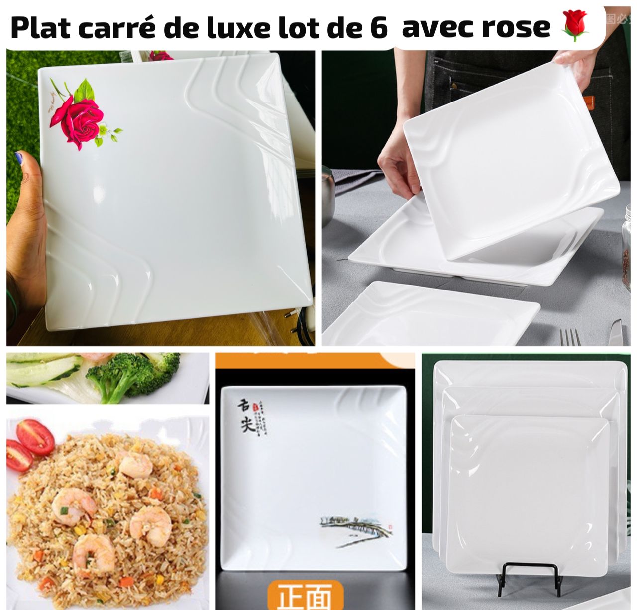 Plat lot 6pcs carré de luxe