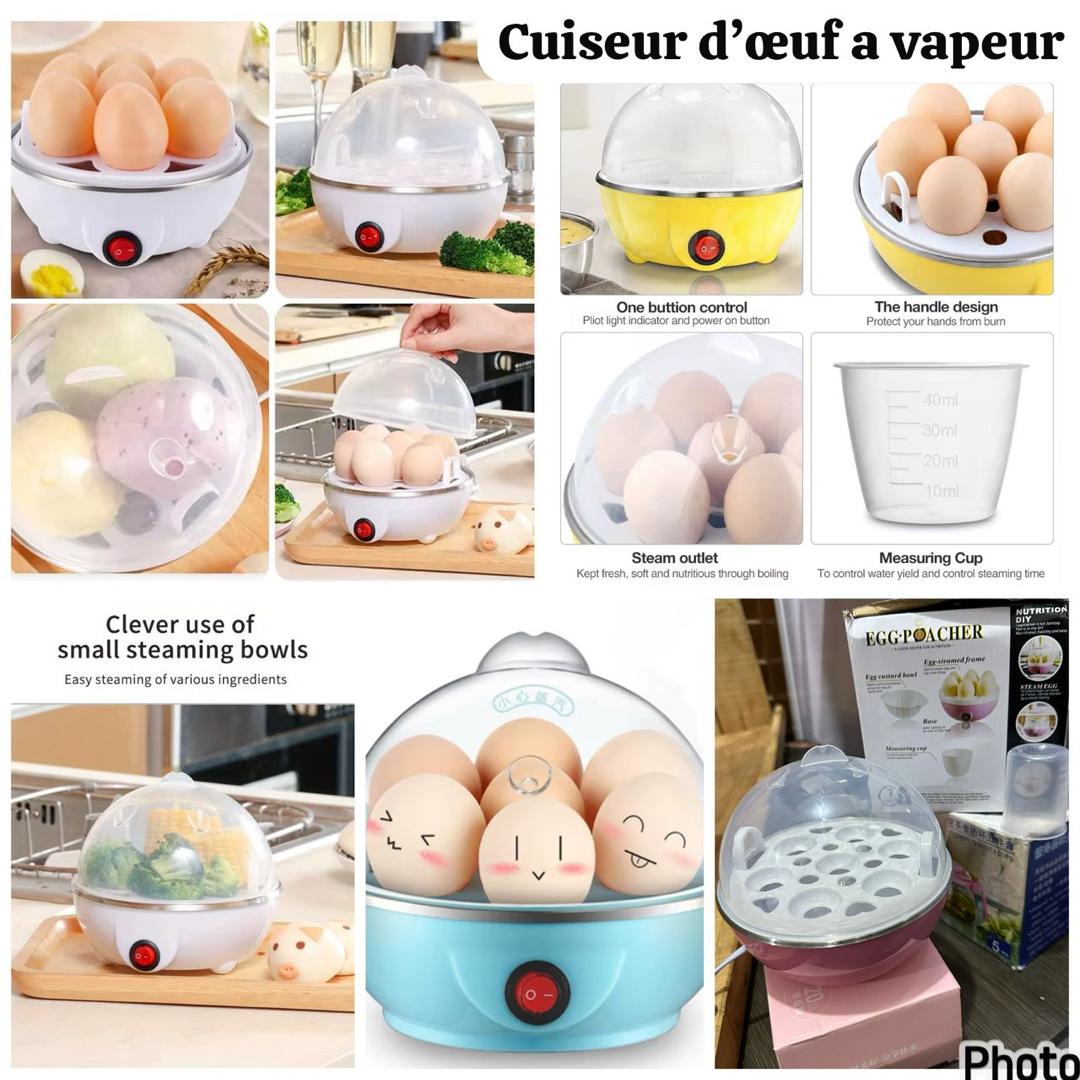 Cuiseur à la vapeur