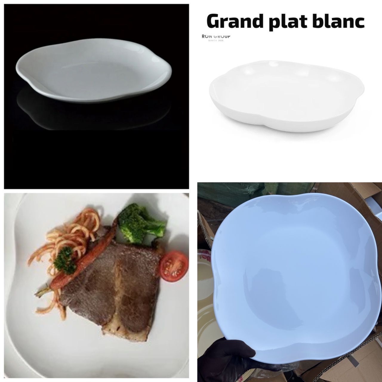 Grand plat Blanc lot de 6 pcs