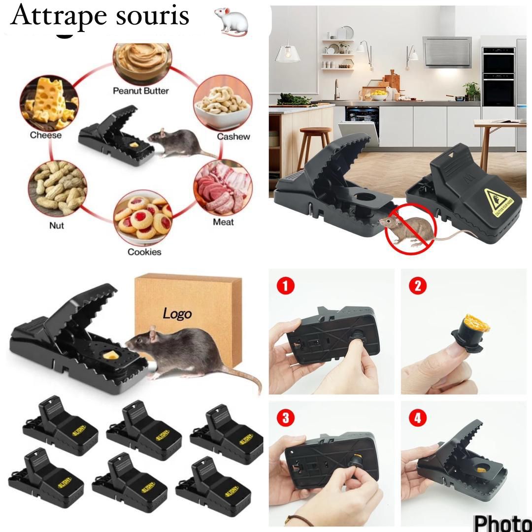 Attrape souris