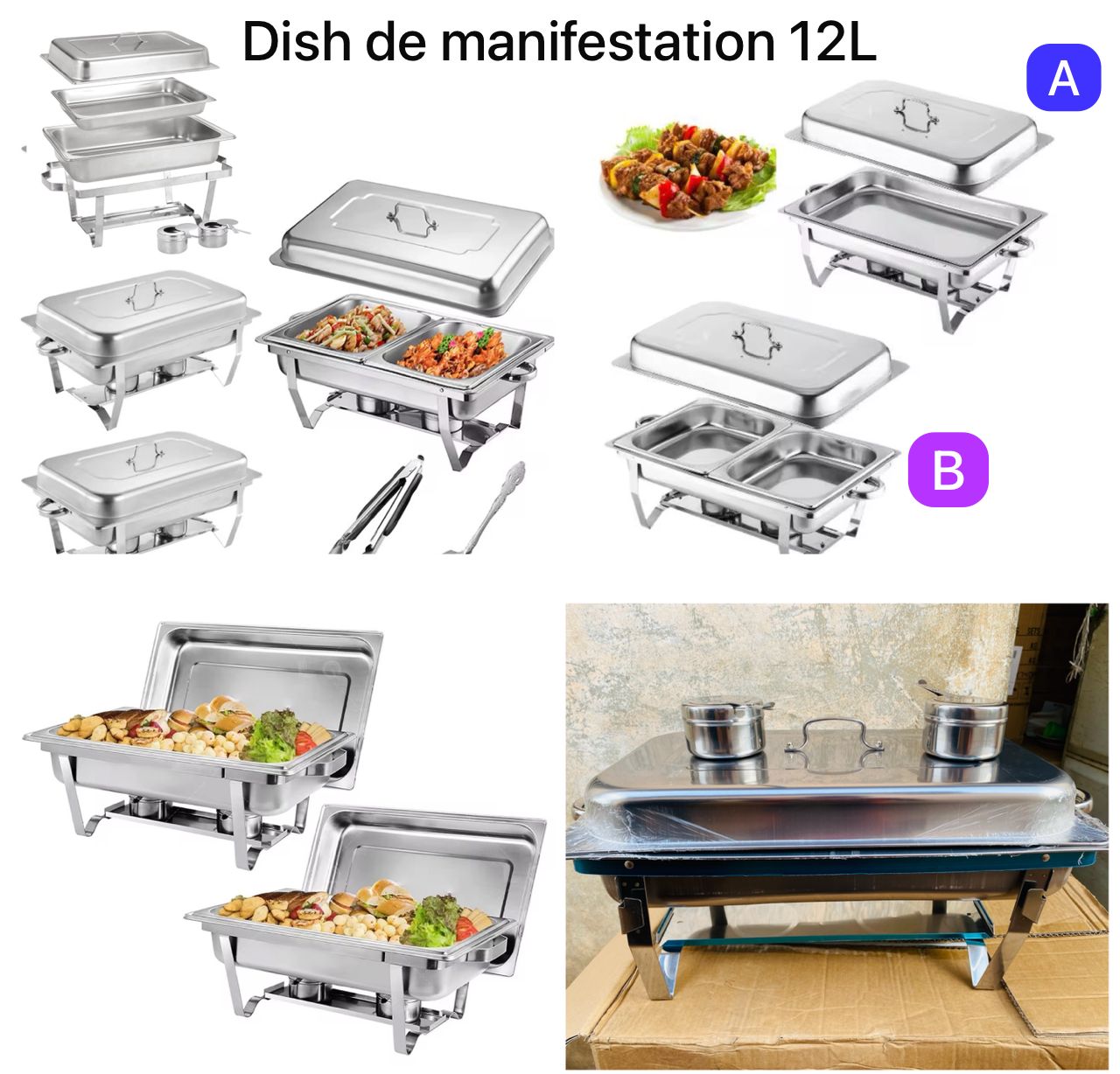 Dish de manifestation 12l